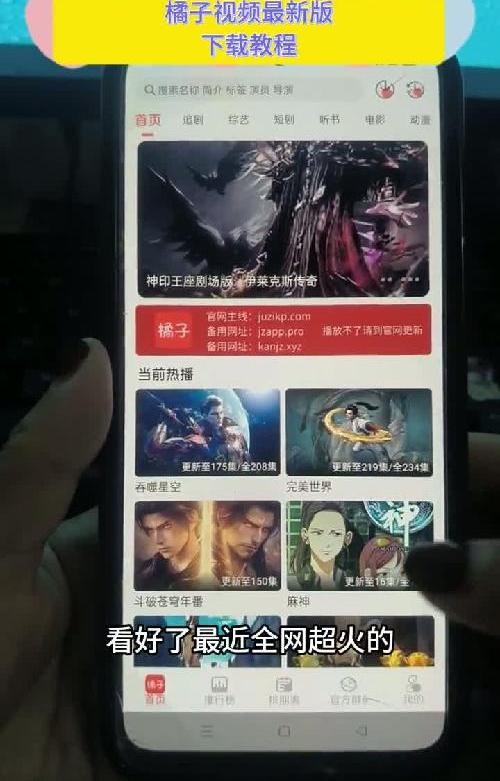 橘子回来了  橘子a