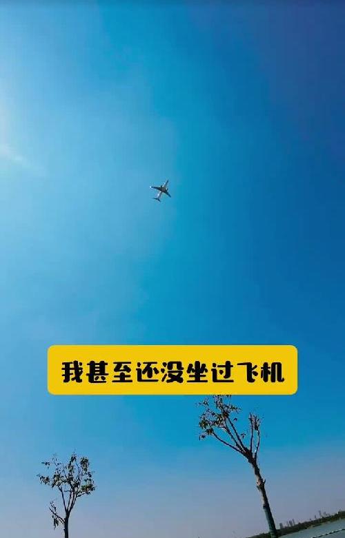 还记得这个软件和bgm的人已经老大不小了吧