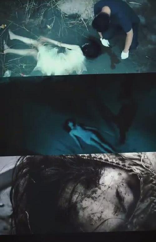 剧名《恐慌循环》红果