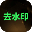 去水印大师下载定制版去广告