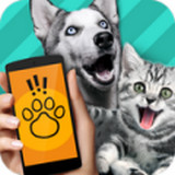动物语言翻译器app免费版app最新版下载
