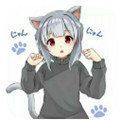 冷狐2019老版本