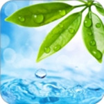 轻轻一点版本旧版本