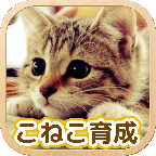 3D猫咪养成3DM汉化版旧版本安装