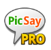 picsaypro完美汉化版linux版本