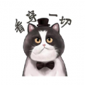肥猫影视在线观看高清推荐