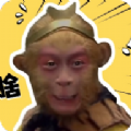 电报猴子盒官方正版下载安装