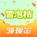 雪泡桔电脑版下载