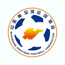 齐鲁足球pc端