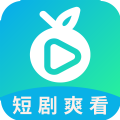 滨果大全旧版本2024年旧版本