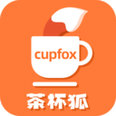cupfox茶杯狐2025旧版本下载安装