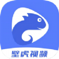 壁虎视频2023旧版安装包