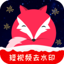 飞狐视频去水印app下载版