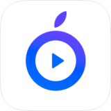 点盾云播放器app官方正版下载链接