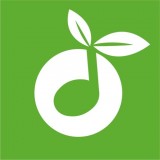 草根音乐app下载安装最新版本2024