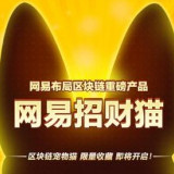 网易招财猫2020版本下载