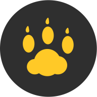 云猫玩旧版2022官方版