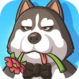 高能宠物团pc端官网入口