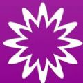 MathStudioapp下载安装正版