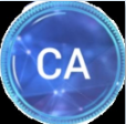 ca炸图辅助器正版下载入口
