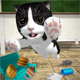 猫咪模拟器20242018老版本下载