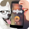 可爱猫狗翻译器安装包apk