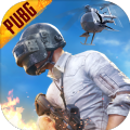 PUBG坤坤直装安装官网