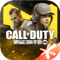 使命召唤全皮肤美化包打开网页版