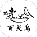 百灵鸟测试版框架官方网页入口