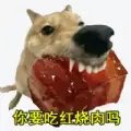 全民美食家大比拼HD版下载安装