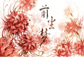 后宫传奇下载2025最新版安装