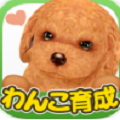 掌心小狗app下载安装最新版本2025