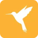 Reqable个人版登录