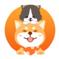 Aky宠物HD版本