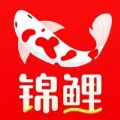 锦鲤特权旧版本2023年旧版本