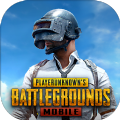 坤坤pubg直装网官网首页