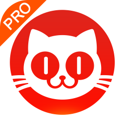 猫眼专业版实时票房网页版登陆入口
