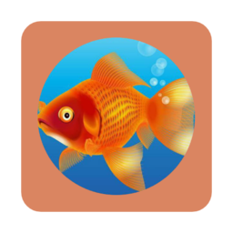 金鱼视界官方app下载安装到手机