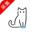 猫影视个人版登录