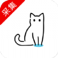 猫影本下载安装官方下载