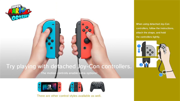 switch模拟器图片13
