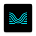 Moises免费版海外版官网