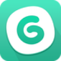 GG大玩家免费版app官方网站
